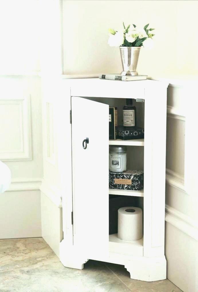 Perfect Concept Small Floor Cabinet