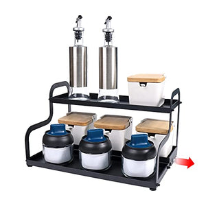 21 Most Wanted 2 Tier Spice Racks